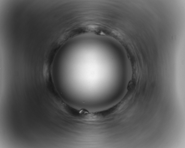X0000088910562200706081343