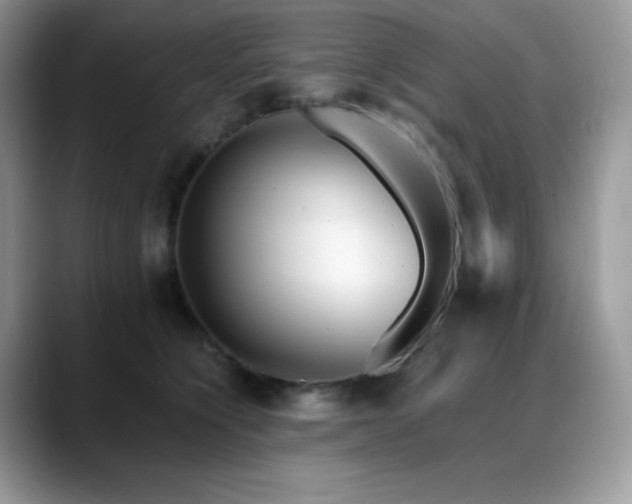 X0000088910564200706081343