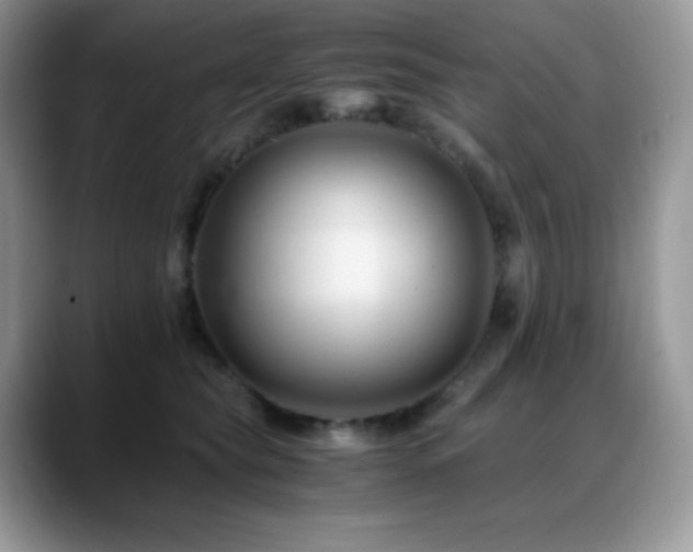 X0000088910565200706081343