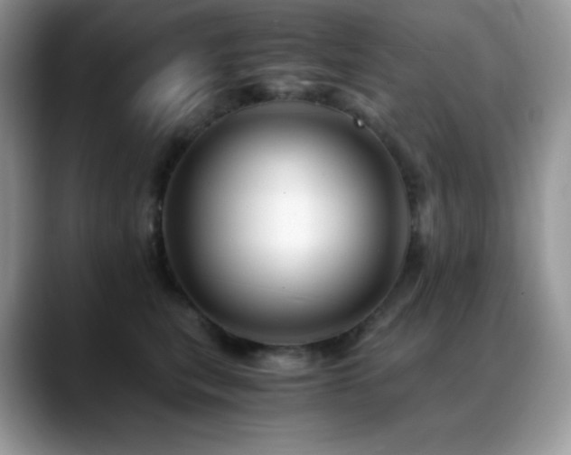 X0000088910567200706081343