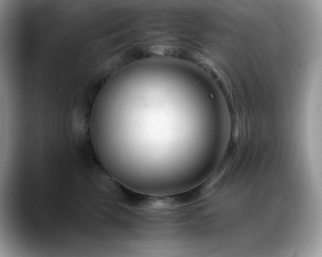 X0000088910569200706081343