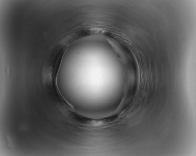 X0000088910570200706081343