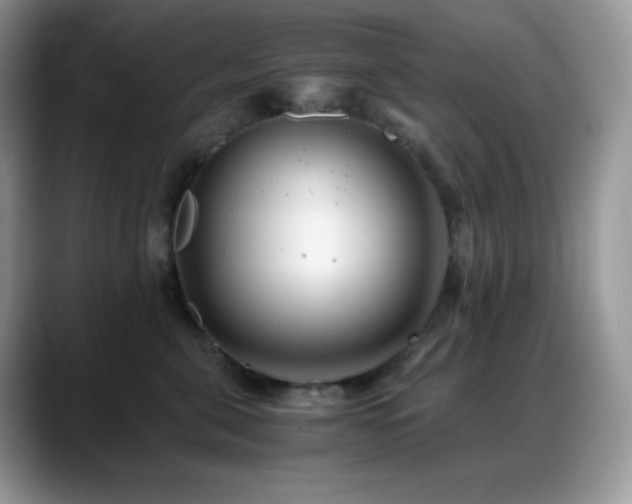X0000088910571200706081343