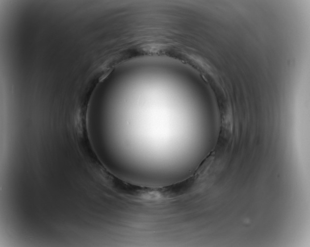 X0000088910572200706081343