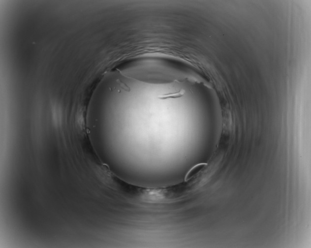 X0000088910573200706081343