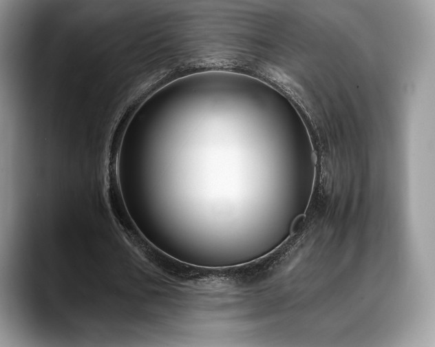 X0000088910578200706081343