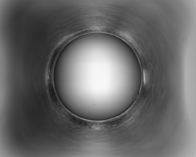 X0000088910579200706081343