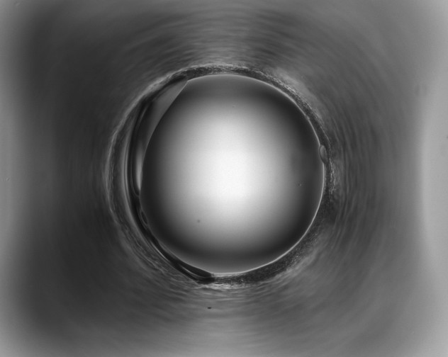 X0000088910580200706081343