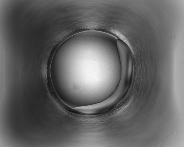 X0000088910581200706081343