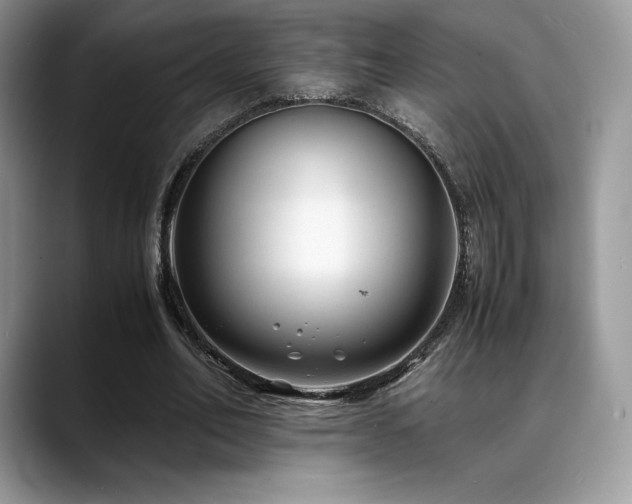 X0000088910582200706081343