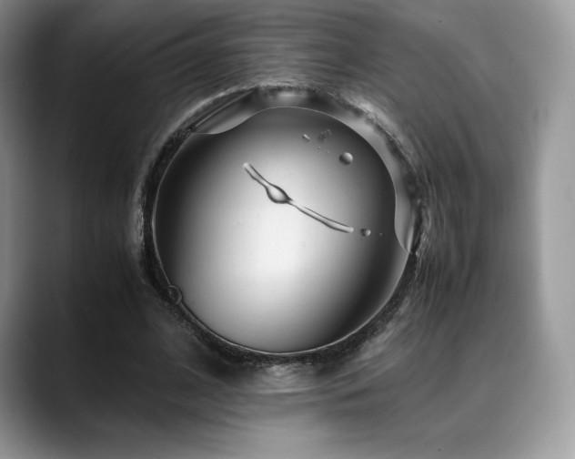 X0000088910584200706081343