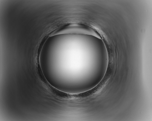 X0000088910585200706081343