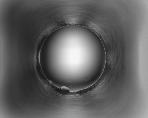 X0000088910586200706081343