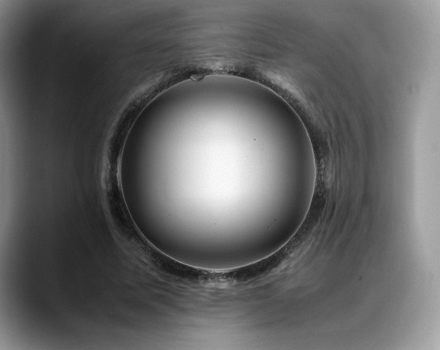 X0000088910587200706081343