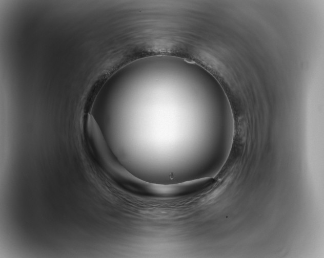 X0000088910589200706081343