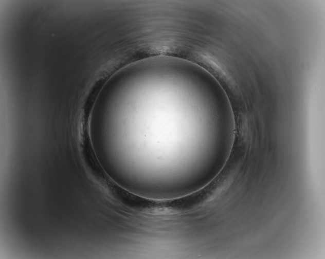 X0000088910590200706081343