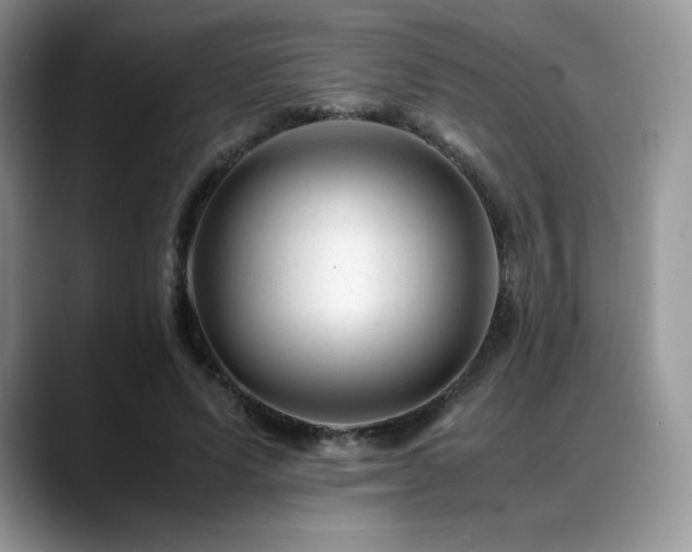 X0000088910591200706081343