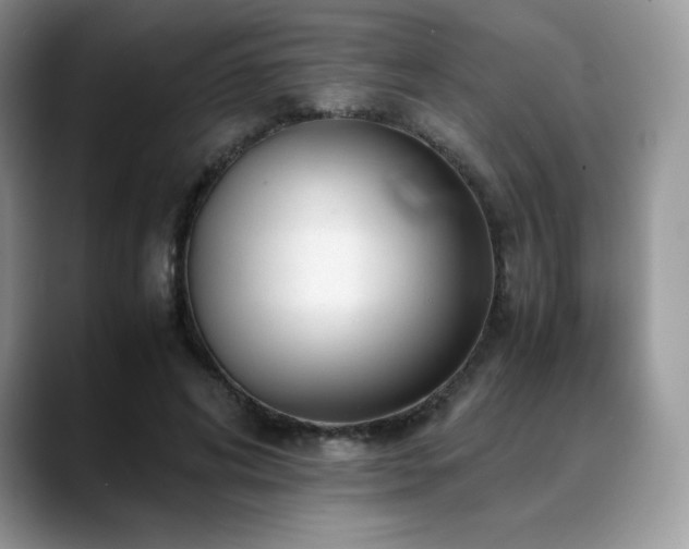 X0000088910592200706081343