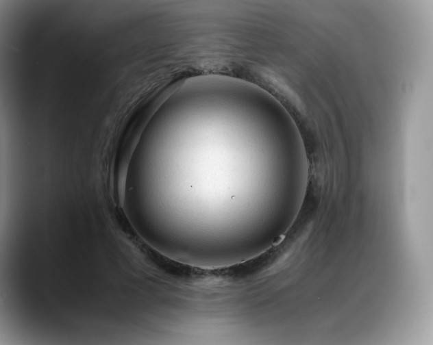 X0000088910593200706081343