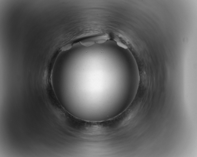 X0000088910594200706081343