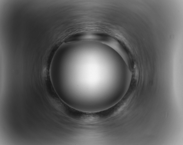 X0000088910597200706081343
