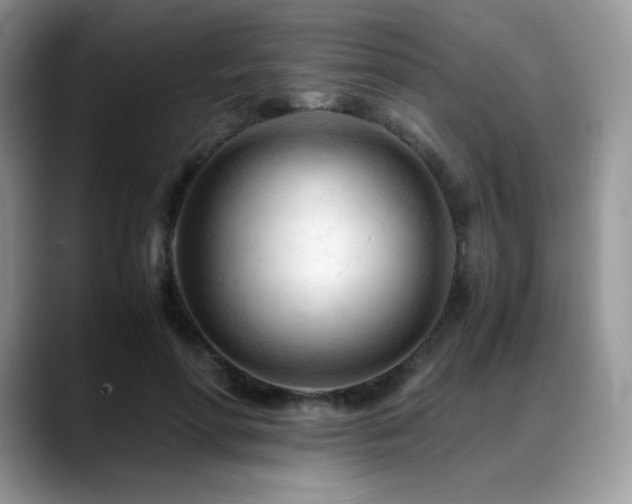 X0000088910598200706081343