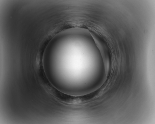 X0000088910600200706081343