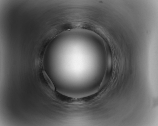 X0000088910601200706081343