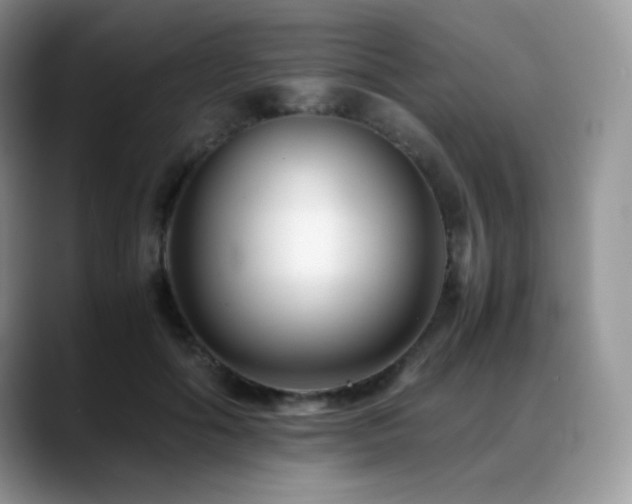 X0000088910602200706081343