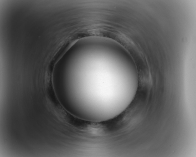 X0000088910603200706081343