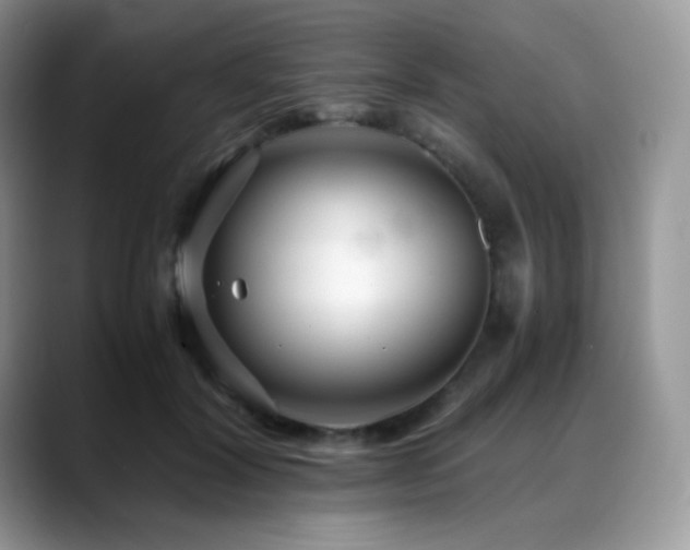 X0000088910604200706081343