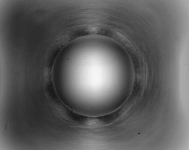X0000088910605200706081343