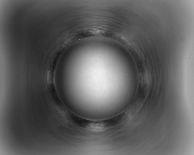 X0000088910606200706081343