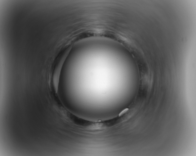 X0000088910609200706081343