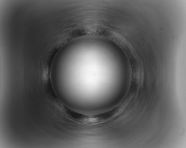 X0000088910610200706081342