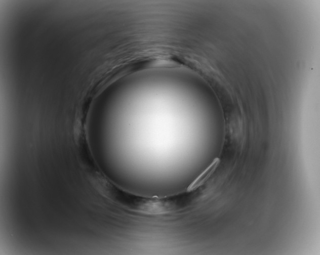 X0000088910611200706081342