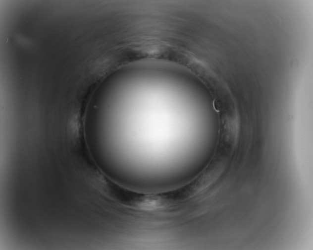 X0000088910612200706081342