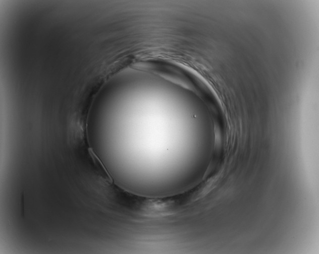 X0000088910613200706081342