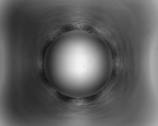 X0000088910615200706081342