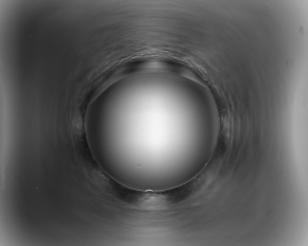 X0000088910617200706081342