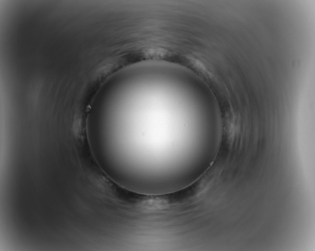 X0000088910619200706081342