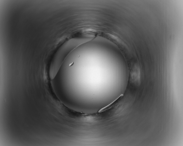 X0000088910620200706081342