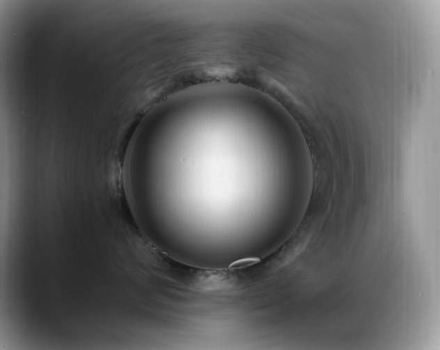 X0000088910624200706081342