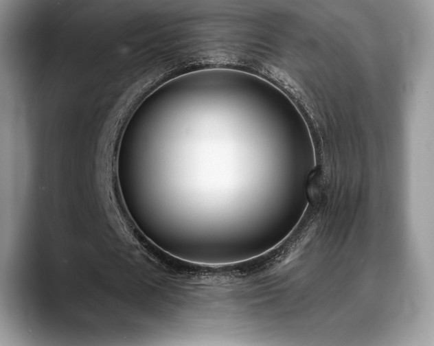X0000088910625200706081342