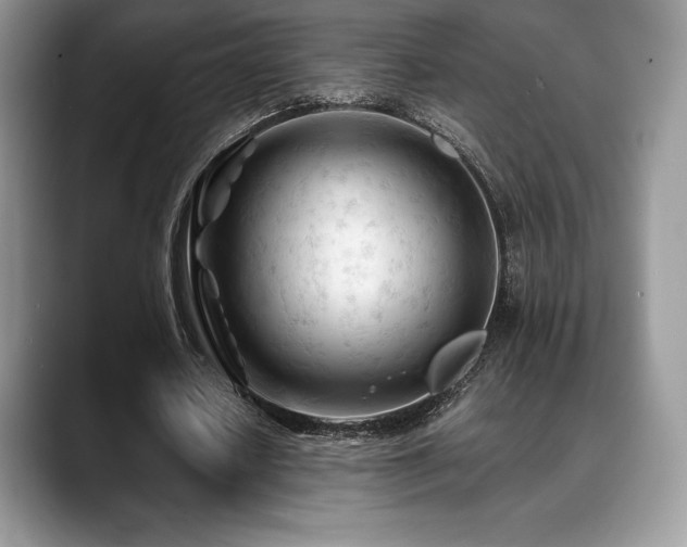 X0000088910626200706081342