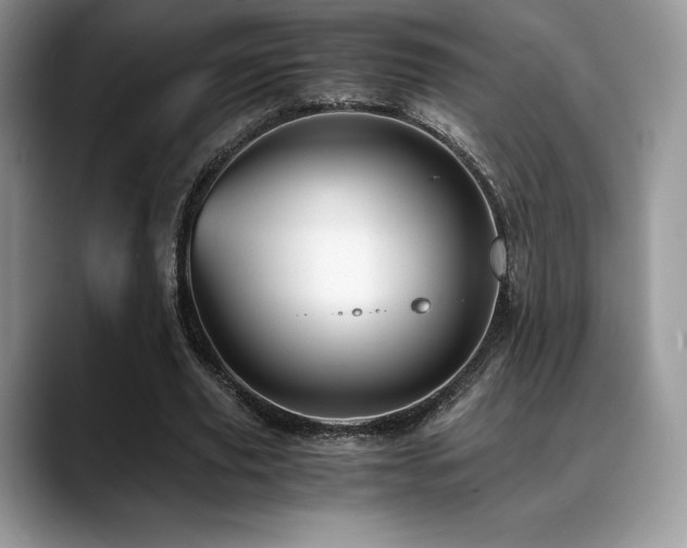 X0000088910629200706081342