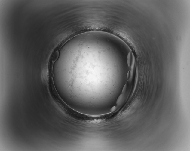 X0000088910630200706081342