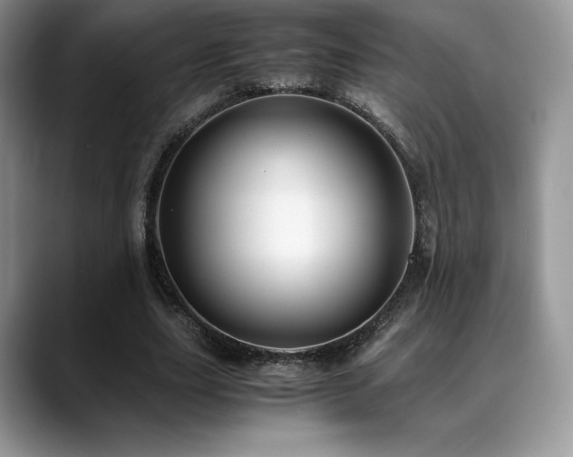 X0000088910631200706081342