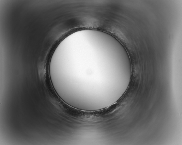 X0000088910632200706081342
