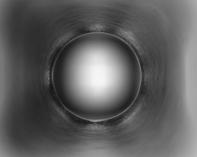 X0000088910633200706081342